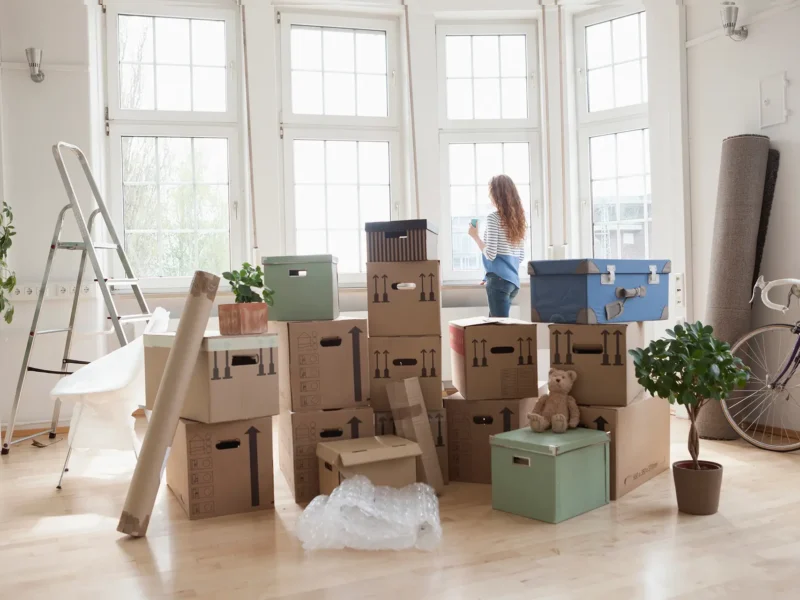 Move In / Move Out Cleaning
